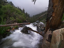 photo thumbnail #13