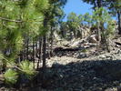 photo thumbnail #7