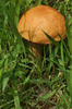 photo thumbnail #10