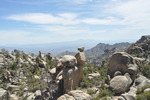 photo thumbnail #2
