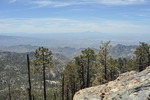 photo thumbnail #3