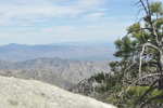 photo thumbnail #5