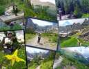 photo thumbnail #1