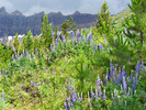 photo thumbnail #7