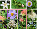 photo thumbnail #14