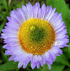 photo thumbnail #15