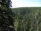 photo thumbnail #10