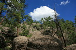 photo thumbnail #1