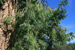 photo thumbnail #10