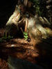 photo thumbnail #5