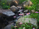 photo thumbnail #11