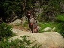 photo thumbnail #14