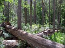 photo thumbnail #14