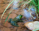 photo thumbnail #3