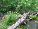 photo thumbnail #10