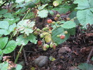 photo thumbnail #11