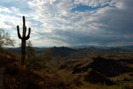 photo thumbnail #8