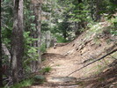 photo thumbnail #2