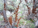 photo thumbnail #11