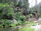 photo thumbnail #4
