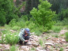 photo thumbnail #14