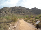 photo thumbnail #1