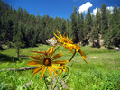 photo thumbnail #9