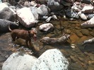 photo thumbnail #6