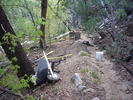 photo thumbnail #7