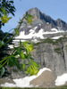 photo thumbnail #15