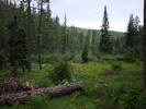 photo thumbnail #1