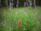 photo thumbnail #5