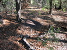 photo thumbnail #7