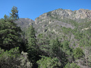 photo thumbnail #8
