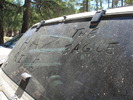 photo thumbnail #7