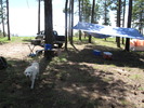 photo thumbnail #8