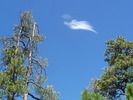 photo thumbnail #14