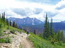 photo thumbnail #8