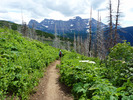 photo thumbnail #15