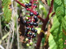 photo thumbnail #1