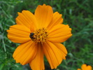 photo thumbnail #10