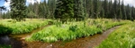 photo thumbnail #12