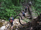 photo thumbnail #8
