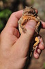 photo thumbnail #4