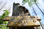photo thumbnail #6