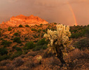 photo thumbnail #4