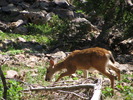 photo thumbnail #14