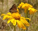 photo thumbnail #1