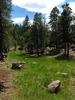 photo thumbnail #2