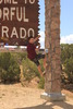 photo thumbnail #2